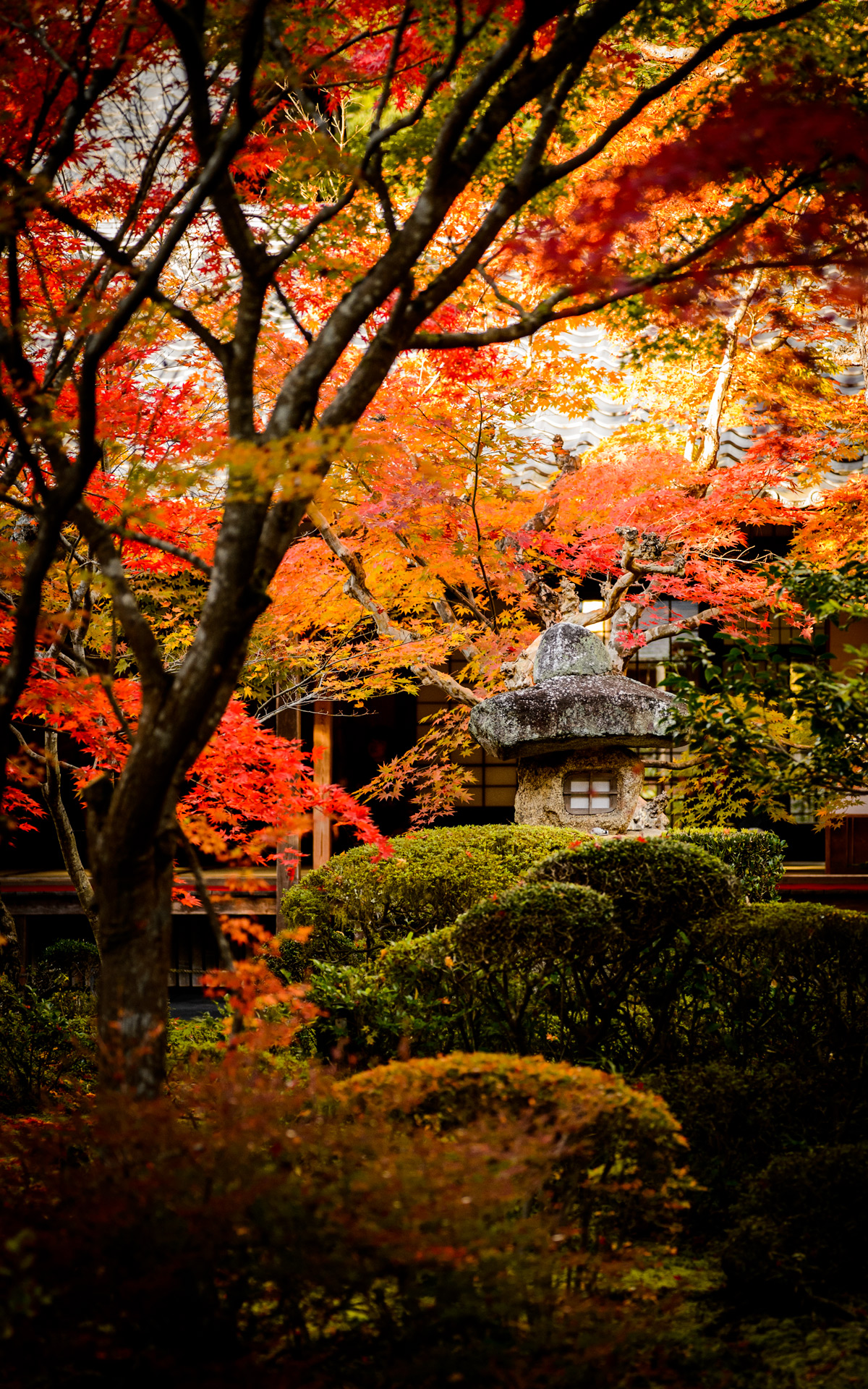 Jeffrey Friedl's Blog » More Japanese-Garden Desktop Backgrounds from