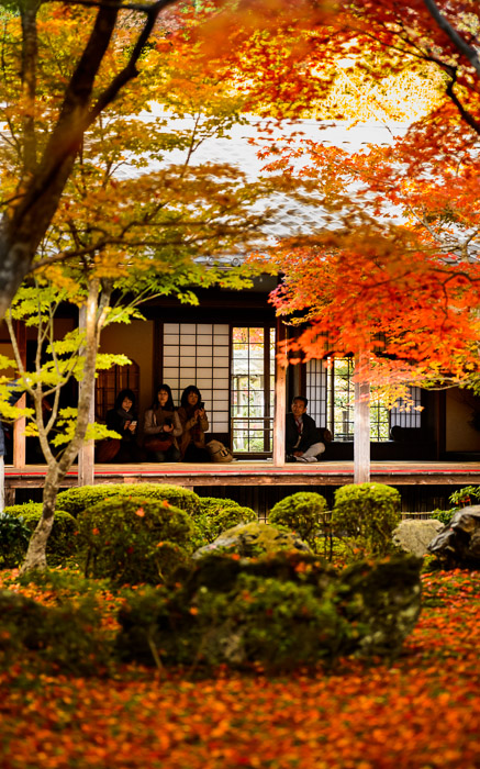 desktop background image of quiet contemplation at the garden of the Enkouji Temple (圓光寺), Kyoto Japan -- Main Garden-Viewing Room from across the garden -- Enkouji Temple (圓光寺) -- Copyright 2012 Jeffrey Friedl, http://regex.info/blog/ -- This photo is licensed to the public under the Creative Commons Attribution-NonCommercial 3.0 Unported License http://creativecommons.org/licenses/by-nc/3.0/ (non-commercial use is freely allowed if proper attribution is given, including a link back to this page on http://regex.info/ when used online)