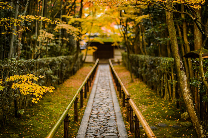 Random photo from my archive that evokes &#8220; segment &#8221; , sort of. Koutouin Temple (高桐院), Kyoto Japan -- Koutouin Temple (高桐院) -- Copyright 2012 Jeffrey Friedl, http://regex.info/blog/ -- This photo is licensed to the public under the Creative Commons Attribution-NonCommercial 4.0 International License http://creativecommons.org/licenses/by-nc/4.0/ (non-commercial use is freely allowed if proper attribution is given, including a link back to this page on http://regex.info/ when used online)