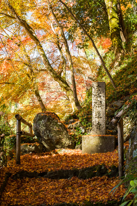 Entrance Steps @ f /5.6  --  Sourenji Temple (宗蓮寺)  --  Kyoto, Japan  --  Copyright 2012 Jeffrey Friedl, http://regex.info/blog/  --  This photo is licensed to the public under the Creative Commons Attribution-NonCommercial 3.0 Unported License http://creativecommons.org/licenses/by-nc/3.0/ (non-commercial use is freely allowed if proper attribution is given, including a link back to this page on http://regex.info/ when used online)