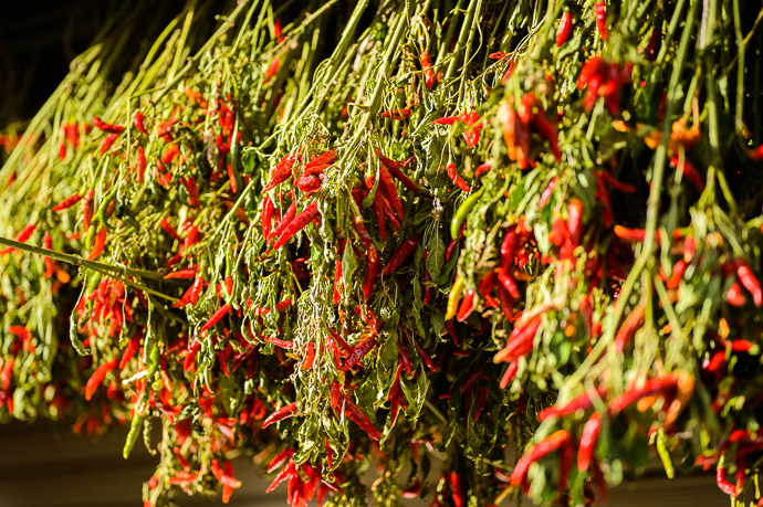 Boring Peppers -- Near the Sanzen-in Temple (三千院) -- Kyoto, Japan -- Copyright 2012 Jeffrey Friedl, http://regex.info/blog/ -- This photo is licensed to the public under the Creative Commons Attribution-NonCommercial 3.0 Unported License http://creativecommons.org/licenses/by-nc/3.0/ (non-commercial use is freely allowed if proper attribution is given, including a link back to this page on http://regex.info/ when used online)
