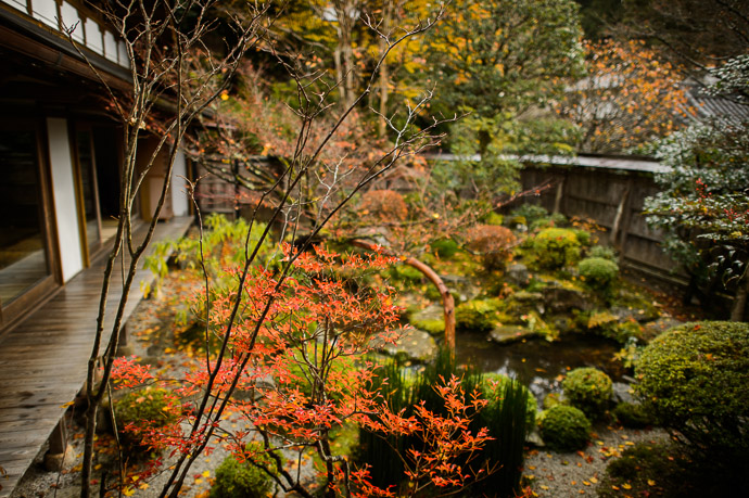 Small Front Garden Housen-in Temple (宝泉院)  --  Housen-in Temple (宝泉院)  --  Kyoto, Japan  --  Copyright 2012 Jeffrey Friedl, http://regex.info/blog/  --  This photo is licensed to the public under the Creative Commons Attribution-NonCommercial 3.0 Unported License http://creativecommons.org/licenses/by-nc/3.0/ (non-commercial use is freely allowed if proper attribution is given, including a link back to this page on http://regex.info/ when used online)