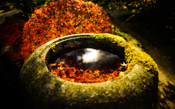 desktop background image of a stone basin in a garden at the Jikkouin Temple (実光院), Kyoto Japan -- Moody -- Jikkouin Temple (実光院) -- Copyright 2012 Jeffrey Friedl, http://regex.info/blog/ -- This photo is licensed to the public under the Creative Commons Attribution-NonCommercial 3.0 Unported License http://creativecommons.org/licenses/by-nc/3.0/ (non-commercial use is freely allowed if proper attribution is given, including a link back to this page on http://regex.info/ when used online)