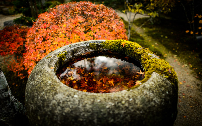 desktop background image of a stone basin in a garden at the Jikkouin Temple (実光院), Kyoto Japan -- Realistic(ish) -- Jikkouin Temple (実光院) -- Copyright 2012 Jeffrey Friedl, http://regex.info/blog/ -- This photo is licensed to the public under the Creative Commons Attribution-NonCommercial 3.0 Unported License http://creativecommons.org/licenses/by-nc/3.0/ (non-commercial use is freely allowed if proper attribution is given, including a link back to this page on http://regex.info/ when used online)