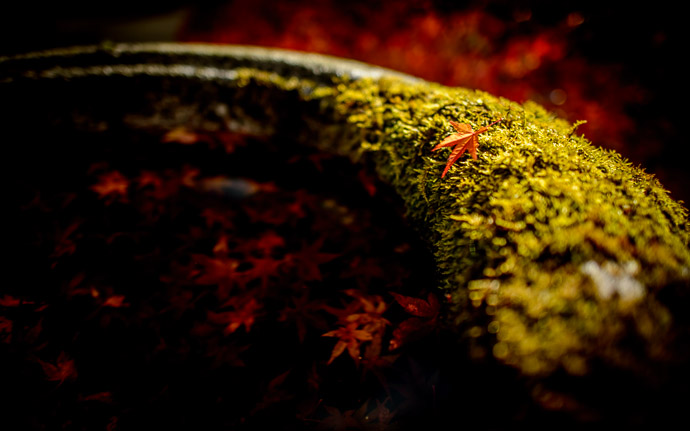 desktop background image of a stone basin in a garden at the Jikkouin Temple (実光院), Kyoto Japan -- Meh -- Jikkouin Temple (実光院) -- Copyright 2012 Jeffrey Friedl, http://regex.info/blog/ -- This photo is licensed to the public under the Creative Commons Attribution-NonCommercial 3.0 Unported License http://creativecommons.org/licenses/by-nc/3.0/ (non-commercial use is freely allowed if proper attribution is given, including a link back to this page on http://regex.info/ when used online)