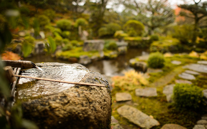 desktop background image of a stone basin in a garden at the Jikkouin Temple (実光院), Kyoto Japan -- Water Basin and Garden at the Jikkouin Temple (実光院), Kyoto Japan -- Jikkouin Temple (実光院) -- Copyright 2012 Jeffrey Friedl, http://regex.info/blog/ -- This photo is licensed to the public under the Creative Commons Attribution-NonCommercial 3.0 Unported License http://creativecommons.org/licenses/by-nc/3.0/ (non-commercial use is freely allowed if proper attribution is given, including a link back to this page on http://regex.info/ when used online)