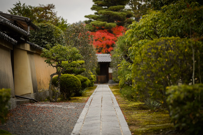 Nov 28 Narrow Entrance Path Toku'un-in Temple (徳雲院), Kyoto Japan  --  Toku'un-in Temple (徳雲院)  --  Copyright 2012 Jeffrey Friedl, http://regex.info/blog/  --  This photo is licensed to the public under the Creative Commons Attribution-NonCommercial 3.0 Unported License http://creativecommons.org/licenses/by-nc/3.0/ (non-commercial use is freely allowed if proper attribution is given, including a link back to this page on http://regex.info/ when used online)