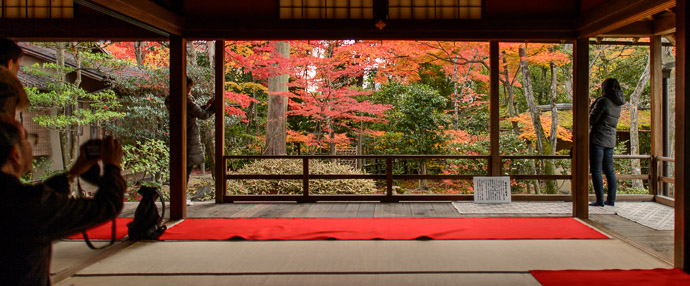 Nov 28 Garden-Viewing Room Daihouin Temple (大法院), Kyoto Japan as seen in “ Tea and Sweets Among the Fall Colors ”  --  Daihouin Temple (大法院)  --  Copyright 2012 Jeffrey Friedl, http://regex.info/blog/  --  This photo is licensed to the public under the Creative Commons Attribution-NonCommercial 3.0 Unported License http://creativecommons.org/licenses/by-nc/3.0/ (non-commercial use is freely allowed if proper attribution is given, including a link back to this page on http://regex.info/ when used online)