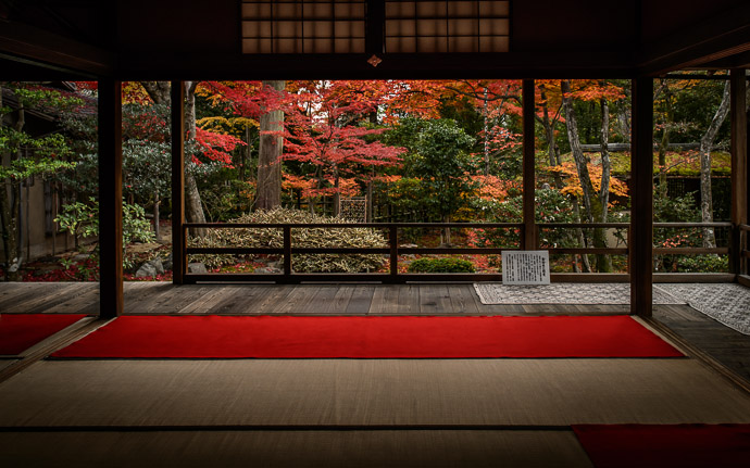 desktop background image of a fall-foliage scene at the Daihouin Temple (妙心寺大法院), Kyoto Japan  --  Garden-Viewing Room at the Daihouin Temple (妙心寺大法院) Kyoto, Japan  --  Daihouin Temple (大法院)  --  Copyright 2012 Jeffrey Friedl, http://regex.info/blog/  --  This photo is licensed to the public under the Creative Commons Attribution-NonCommercial 3.0 Unported License http://creativecommons.org/licenses/by-nc/3.0/ (non-commercial use is freely allowed if proper attribution is given, including a link back to this page on http://regex.info/ when used online)