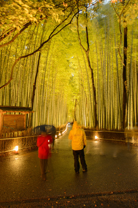 Five Seconds Later taken at the same exposure as the previous shot  --  Arashiyama Bamboo Forest (嵐山竹やぶ)  --  Kyoto, Japan  --  Copyright 2012 Jeffrey Friedl, http://regex.info/blog/  --  This photo is licensed to the public under the Creative Commons Attribution-NonCommercial 3.0 Unported License http://creativecommons.org/licenses/by-nc/3.0/ (non-commercial use is freely allowed if proper attribution is given, including a link back to this page on http://regex.info/ when used online)