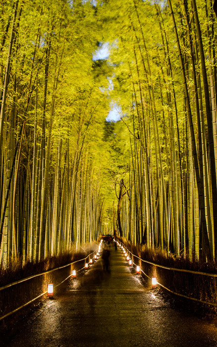 Cold, Crowded, and Cliché — six second exposure to get moving people to fade away — Arashiyama Bamboo Forest Lightup, Kyoto Japan 京都・嵐山竹やぶ花灯路  --  Arashiyama Bamboo Forest (嵐山竹やぶ)  --  Copyright 2012 Jeffrey Friedl, http://regex.info/blog/  --  This photo is licensed to the public under the Creative Commons Attribution-NonCommercial 3.0 Unported License http://creativecommons.org/licenses/by-nc/3.0/ (non-commercial use is freely allowed if proper attribution is given, including a link back to this page on http://regex.info/ when used online)