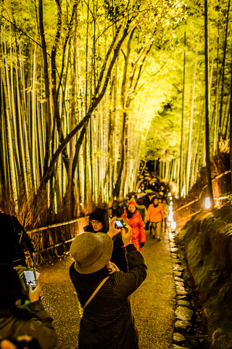 Arashiyama Bamboo Forest (嵐山竹やぶ)  --  Kyoto, Japan  --  Copyright 2012 Jeffrey Friedl, http://regex.info/blog/  --  This photo is licensed to the public under the Creative Commons Attribution-NonCommercial 3.0 Unported License http://creativecommons.org/licenses/by-nc/3.0/ (non-commercial use is freely allowed if proper attribution is given, including a link back to this page on http://regex.info/ when used online)