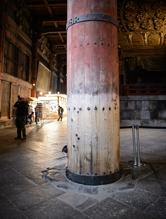 Bottom Quarter of a massive 300-year-old support column at the Todaiji Temple in Nara, Japan 東大寺の柱（下の４分の一)、奈良  --  Todaiji (東大寺)  --  Copyright 2012 Jeffrey Friedl, http://regex.info/blog/2013-01-13/2182  --  This photo is licensed to the public under the Creative Commons Attribution-NonCommercial 3.0 Unported License http://creativecommons.org/licenses/by-nc/3.0/ (non-commercial use is freely allowed if proper attribution is given, including a link back to this page on http://regex.info/ when used online)