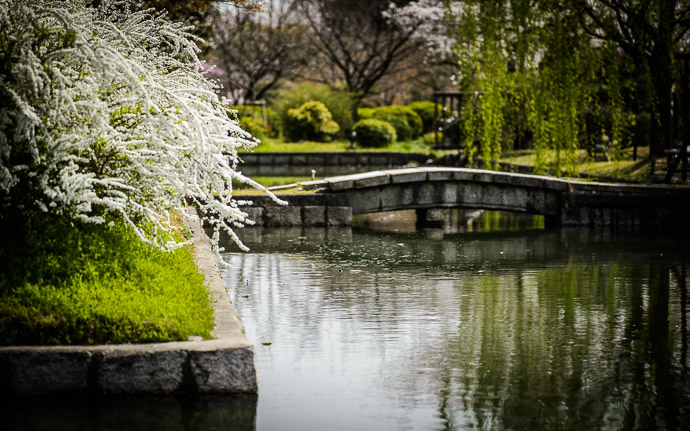 desktop background image of a garden at the Toji Temple (東寺) in Kyoto Japan during spring -- Serene Japanese Garden 'cause nuts-n-bolts digital maintenance like this post is about can give a headache Toji Temple (東寺), Kyoto Japan, April 2013 -- Toji Temple (東寺) -- Copyright 2013 Jeffrey Friedl, http://regex.info/blog/ -- This photo is licensed to the public under the Creative Commons Attribution-NonCommercial 4.0 International License http://creativecommons.org/licenses/by-nc/4.0/ (non-commercial use is freely allowed if proper attribution is given, including a link back to this page on http://regex.info/ when used online)