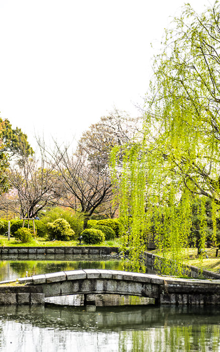 desktop background image of a garden at the Toji Temple (東寺) in Kyoto Japan during spring -- Temple Garden Toji Temple (東寺), Kyoto Japan -- Toji Temple (東寺) -- Copyright 2013 Jeffrey Friedl, http://regex.info/blog/ -- This photo is licensed to the public under the Creative Commons Attribution-NonCommercial 4.0 International License http://creativecommons.org/licenses/by-nc/4.0/ (non-commercial use is freely allowed if proper attribution is given, including a link back to this page on http://regex.info/ when used online)