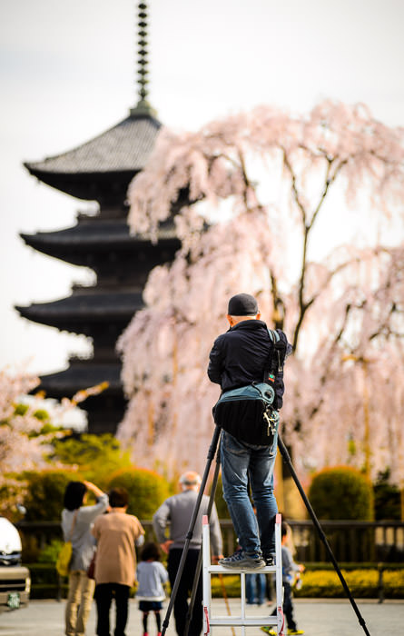 Searching for Improved Performance Toji Temple (東寺), Kyoto Japan, April 2013 -- Toji Temple (東寺) -- Copyright 2013 Jeffrey Friedl, http://regex.info/blog/ -- This photo is licensed to the public under the Creative Commons Attribution-NonCommercial 4.0 International License http://creativecommons.org/licenses/by-nc/4.0/ (non-commercial use is freely allowed if proper attribution is given, including a link back to this page on http://regex.info/ when used online)