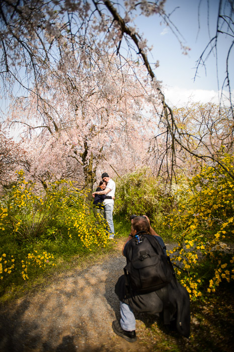 Paul Trying the Same Shot -- The Haradanien Garden (原谷苑) -- Kyoto, Japan -- Copyright 2013 Jeffrey Friedl, http://regex.info/blog/