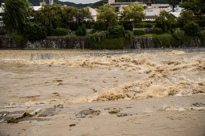 Not Quite Worth the advertised &#8220; 1,000 words &#8221; -- Kamo River (鴨川) -- Kyoto, Japan -- Copyright 2013 Jeffrey Friedl, http://regex.info/blog/ -- This photo is licensed to the public under the Creative Commons Attribution-NonCommercial 3.0 Unported License http://creativecommons.org/licenses/by-nc/3.0/ (non-commercial use is freely allowed if proper attribution is given, including a link back to this page on http://regex.info/ when used online)
