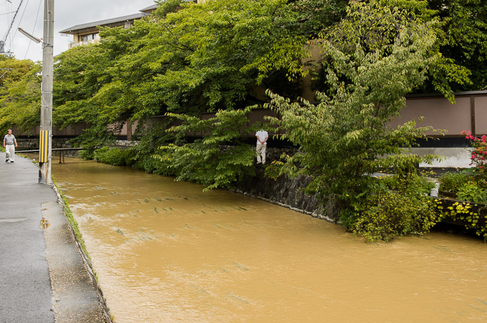 Shirakawa River 白川、京都市左京区岡崎 -- Kamo River (鴨川) -- Kyoto, Japan -- Copyright 2013 Jeffrey Friedl, http://regex.info/blog/ -- This photo is licensed to the public under the Creative Commons Attribution-NonCommercial 3.0 Unported License http://creativecommons.org/licenses/by-nc/3.0/ (non-commercial use is freely allowed if proper attribution is given, including a link back to this page on http://regex.info/ when used online)