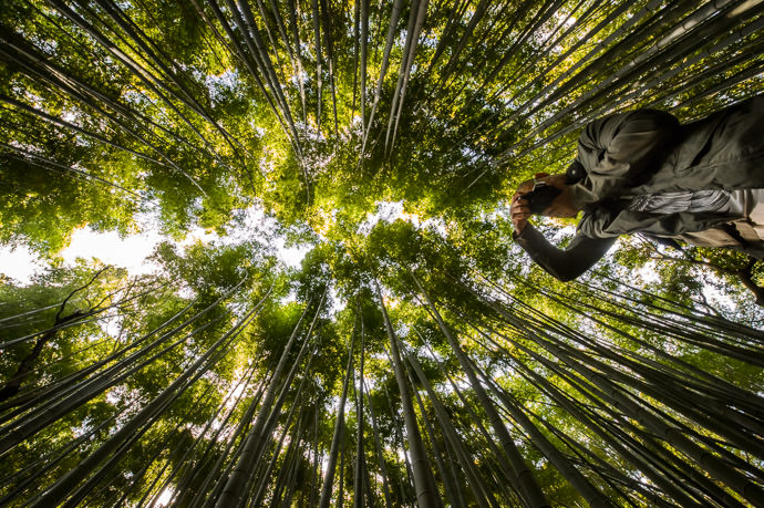 Either Or Either Aeron is really tall, or I'm really short. ( or I'm lying on my back on the ground, as I sometimes do to get the shot ) -- Arashiyama Bamboo Forest (嵐山竹やぶ) -- Kyoto, Japan -- Copyright 2013 Jeffrey Friedl, http://regex.info/blog/