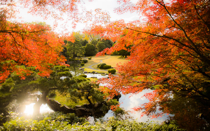 desktop background image of the garden at the Seifuso Villa (清風荘), Kyoto Japan -- View from The Back from the back of the garden at the Seifuso Villa (清風荘), Kyoto Japan -- Seifuso Villa (清風荘) -- Copyright 2013 Jeffrey Friedl, http://regex.info/blog/ -- This photo is licensed to the public under the Creative Commons Attribution-NonCommercial 4.0 International License http://creativecommons.org/licenses/by-nc/4.0/ (non-commercial use is freely allowed if proper attribution is given, including a link back to this page on http://regex.info/ when used online)