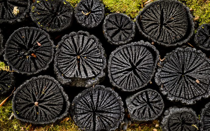 desktop background image of garden detail at the Seifuso Villa (清風荘), Kyoto Japan -- What (and Why) am I? Seifuso Villa (清風荘), Kyoto Japan -- Seifuso (清風荘) -- Copyright 2013 Jeffrey Friedl, http://regex.info/blog/ -- This photo is licensed to the public under the Creative Commons Attribution-NonCommercial 3.0 Unported License http://creativecommons.org/licenses/by-nc/3.0/ (non-commercial use is freely allowed if proper attribution is given, including a link back to this page on http://regex.info/ when used online)