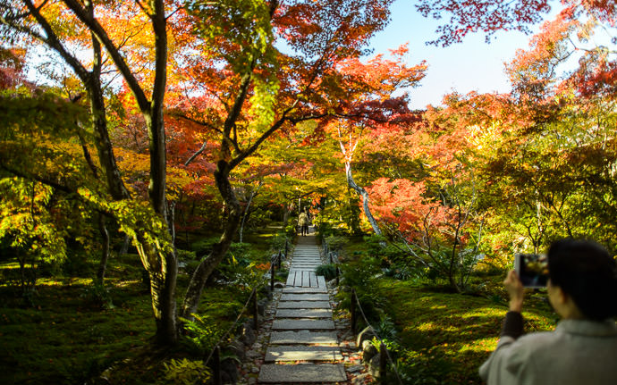 The Calm -- Hokyo-in Temple (宝筐院) -- Kyoto, Japan -- Copyright 2013 Jeffrey Friedl, http://regex.info/blog/ -- This photo is licensed to the public under the Creative Commons Attribution-NonCommercial 3.0 Unported License http://creativecommons.org/licenses/by-nc/3.0/ (non-commercial use is freely allowed if proper attribution is given, including a link back to this page on http://regex.info/ when used online)