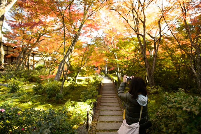 Short Fully-Appropriate Pause -- Hokyo-in Temple (宝筐院) -- Kyoto, Japan -- Copyright 2013 Jeffrey Friedl, http://regex.info/blog/ -- This photo is licensed to the public under the Creative Commons Attribution-NonCommercial 3.0 Unported License http://creativecommons.org/licenses/by-nc/3.0/ (non-commercial use is freely allowed if proper attribution is given, including a link back to this page on http://regex.info/ when used online)