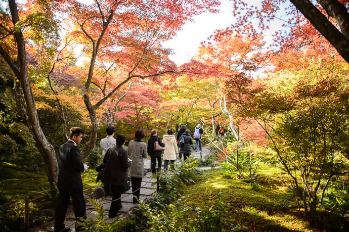 Temple Visitors did not come to watch you take pictures -- Hokyo-in Temple (宝筐院) -- Kyoto, Japan -- Copyright 2013 Jeffrey Friedl, http://regex.info/blog/ -- This photo is licensed to the public under the Creative Commons Attribution-NonCommercial 3.0 Unported License http://creativecommons.org/licenses/by-nc/3.0/ (non-commercial use is freely allowed if proper attribution is given, including a link back to this page on http://regex.info/ when used online)