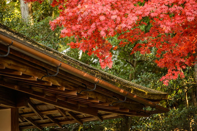 Roof Detail -- Shugakuin Imperial Villa (修学院離宮) -- Kyoto, Japan -- Copyright 2013 Jeffrey Friedl, http://regex.info/blog/ -- This photo is licensed to the public under the Creative Commons Attribution-NonCommercial 4.0 International License http://creativecommons.org/licenses/by-nc/4.0/ (non-commercial use is freely allowed if proper attribution is given, including a link back to this page on http://regex.info/ when used online)