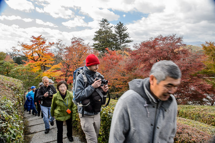Climbing Up -- Shugakuin Imperial Villa (修学院離宮) -- Kyoto, Japan -- Copyright 2013 Jeffrey Friedl, http://regex.info/blog/