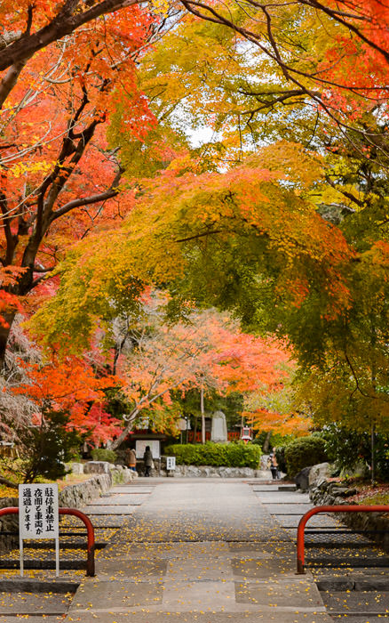 desktop background image of a path leading to the Saginomori Shrine (鷺森神社), Kyoto Japan -- &#8220; No Parking &#8221; &#8220; Vehicles pass even at night &#8221; at the Saginomori Shrine (鷺森神社), Kyoto Japan -- Saginomori Shrine (鷺森神社) -- Copyright 2013 Jeffrey Friedl, http://regex.info/blog/ -- This photo is licensed to the public under the Creative Commons Attribution-NonCommercial 4.0 International License http://creativecommons.org/licenses/by-nc/4.0/ (non-commercial use is freely allowed if proper attribution is given, including a link back to this page on http://regex.info/ when used online)