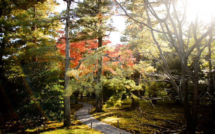 desktop background image of a shadowy garden path, at the Sento Imperial Palace (仙洞御所), Kyoto Japan -- Diving into Shadow at the Sento Imperial Palace (仙洞御所), Kyoto Japan -- Sento Imperial Palace (仙洞御所) -- Copyright 2013 Jeffrey Friedl, http://regex.info/blog/ -- This photo is licensed to the public under the Creative Commons Attribution-NonCommercial 4.0 International License http://creativecommons.org/licenses/by-nc/4.0/ (non-commercial use is freely allowed if proper attribution is given, including a link back to this page on http://regex.info/ when used online)