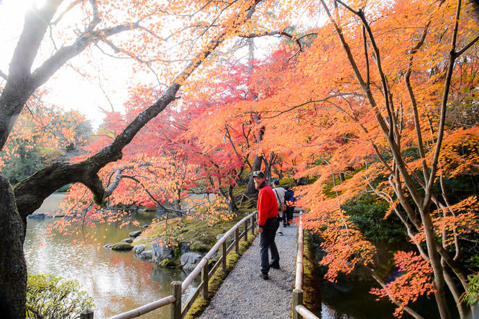 Heading Across -- Sento Imperial Palace (仙洞御所) -- Kyoto, Japan -- Copyright 2013 Jeffrey Friedl, http://regex.info/blog/