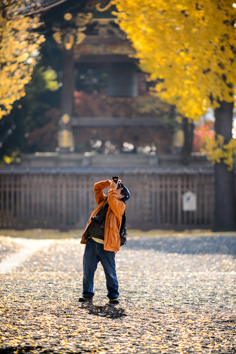 Cameras to Spare maybe I can borrow one of his -- Nishi Hongwanji Temple (西本願寺) -- Kyoto, Japan -- Copyright 2013 Jeffrey Friedl, http://regex.info/blog/2013-12-04/2347 -- This photo is licensed to the public under the Creative Commons Attribution-NonCommercial 3.0 Unported License http://creativecommons.org/licenses/by-nc/3.0/ (non-commercial use is freely allowed if proper attribution is given, including a link back to this page on http://regex.info/ when used online)
