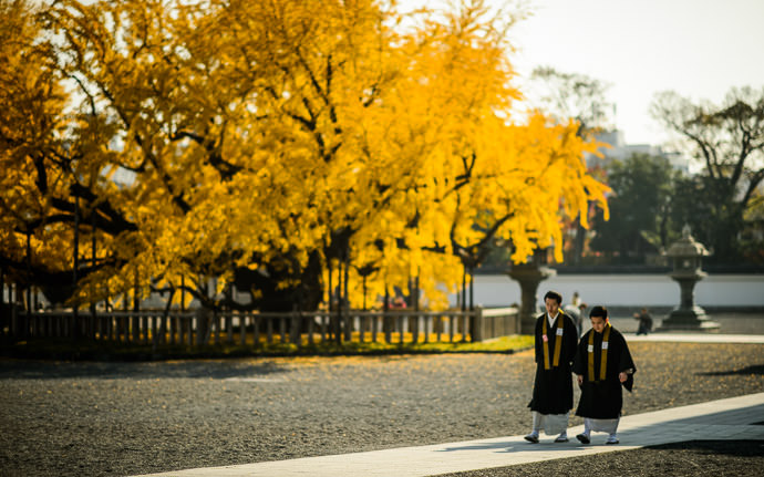 desktop background image of two monks strolling at the Nishi Hongwanji Temple (西本願寺), Kyoto Japan -- Consultation on the Go at the Nishi Hongwanji Temple (西本願寺), Kyoto Japan -- Nishi Hongwanji Temple (西本願寺) -- Copyright 2013 Jeffrey Friedl, http://regex.info/blog/ -- This photo is licensed to the public under the Creative Commons Attribution-NonCommercial 4.0 International License http://creativecommons.org/licenses/by-nc/4.0/ (non-commercial use is freely allowed if proper attribution is given, including a link back to this page on http://regex.info/ when used online)