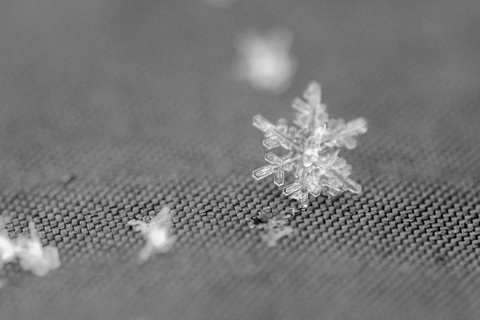 Snowflake on Natalie's Jacket taken by hand while asking Natalie to hold still -- Copyright 2014 Jeffrey Friedl, http://regex.info/blog/ -- This photo is licensed to the public under the Creative Commons Attribution-NonCommercial 4.0 International License http://creativecommons.org/licenses/by-nc/4.0/ (non-commercial use is freely allowed if proper attribution is given, including a link back to this page on http://regex.info/ when used online)