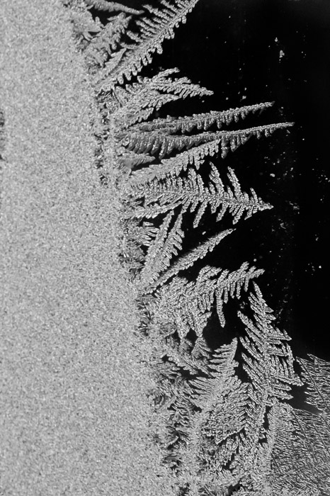 desktop background image of a frost pattern on a window in the -10F (-23C) cold of an Ohio winter -- Evergreens on a Slope -- Copyright 2014 Jeffrey Friedl, http://regex.info/blog/ -- This photo is licensed to the public under the Creative Commons Attribution-NonCommercial 4.0 International License http://creativecommons.org/licenses/by-nc/4.0/ (non-commercial use is freely allowed if proper attribution is given, including a link back to this page on http://regex.info/ when used online)