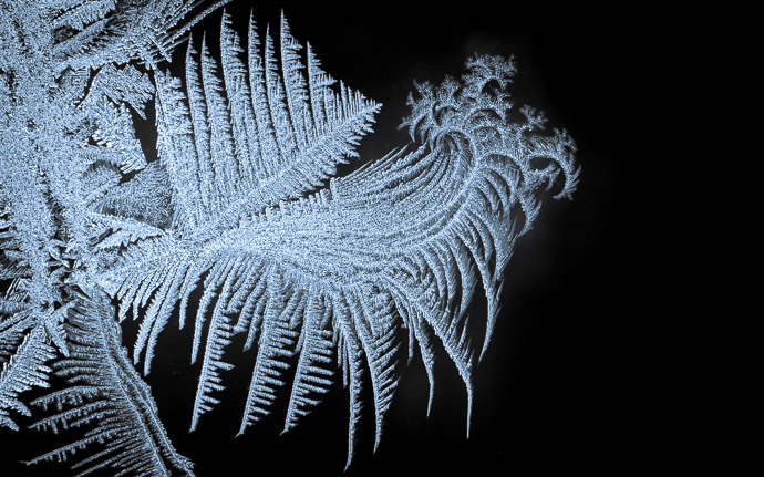 desktop background image of frost patterns on a window in -10F (-23C) cold of the January 2014 artic vortex deep freeze -- Frosty Window (now we know where Dubai's layout came from) -- Copyright 2014 Jeffrey Friedl, http://regex.info/blog/ -- This photo is licensed to the public under the Creative Commons Attribution-NonCommercial 4.0 International License http://creativecommons.org/licenses/by-nc/4.0/ (non-commercial use is freely allowed if proper attribution is given, including a link back to this page on http://regex.info/ when used online)