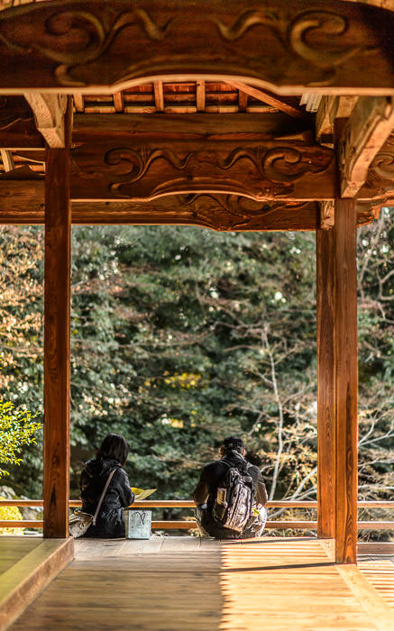 desktop background image of rich wood construction at the Zuishin Temple (随心院), Kyoto Japan -- Relaxing -- Zuishin Temple (随心院) -- Copyright 2014 Jeffrey Friedl, http://regex.info/blog/ -- This photo is licensed to the public under the Creative Commons Attribution-NonCommercial 4.0 International License http://creativecommons.org/licenses/by-nc/4.0/ (non-commercial use is freely allowed if proper attribution is given, including a link back to this page on http://regex.info/ when used online)