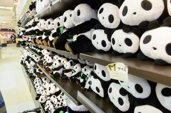 Lots of Pandas -- Adventure World -- Shirahama, Wakayama, Japan -- Copyright 2014 Jeffrey Friedl, http://regex.info/blog/