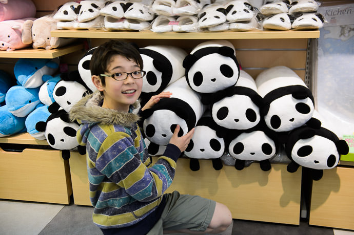 &#8220; Puffy &#8221; one of the three stuffed pandas now gracing Anthony's bed -- Adventure World -- Shirahama, Wakayama, Japan -- Copyright 2014 Jeffrey Friedl, http://regex.info/blog/