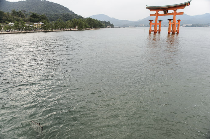Below Water The sign in the lower left is almost invisible at high tide -- Itsukushima Shrine (厳島神社) -- Miyajima, Hiroshima, Japan -- Copyright 2014 Jeffrey Friedl, http://regex.info/blog/