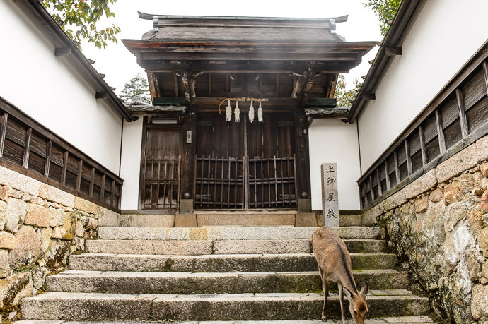 Picking Weeds -- Daisho-in Temple (大聖院) -- Miyajima, Hiroshima, Japan -- Copyright 2014 Jeffrey Friedl, http://regex.info/blog/