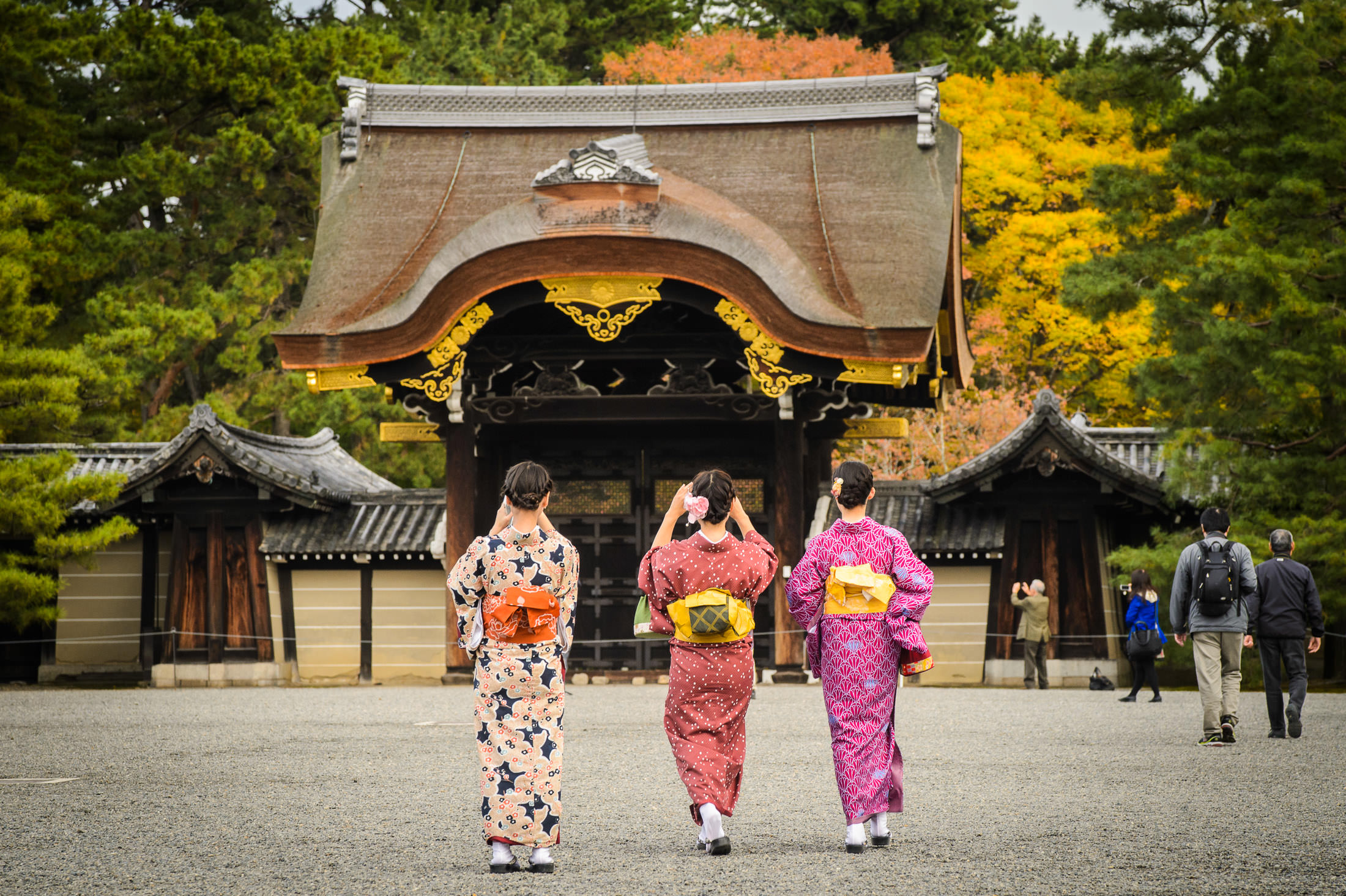 Gerbang masuk kyoto Imperial