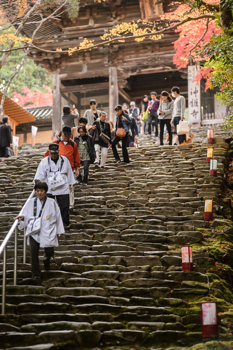 The Last 1% final steps of a very, very long winding flight of steps from the bottom of the mountain -- Jingoji Temple (神護寺) -- Kyoto, Japan -- Copyright 2014 Jeffrey Friedl, http://regex.info/blog/ -- This photo is licensed to the public under the Creative Commons Attribution-NonCommercial 4.0 International License http://creativecommons.org/licenses/by-nc/4.0/ (non-commercial use is freely allowed if proper attribution is given, including a link back to this page on http://regex.info/ when used online)