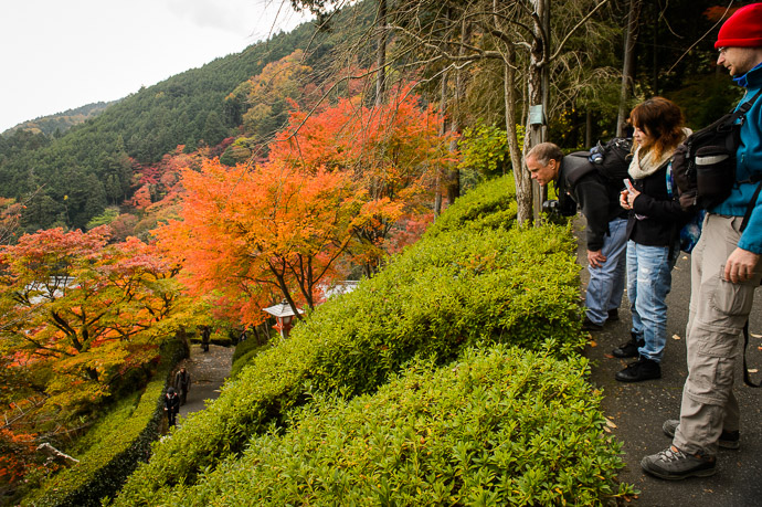 Yoshiminedera Temple (善峯寺) -- Kyoto, Japan -- Copyright 2014 Jeffrey Friedl, http://regex.info/blog/