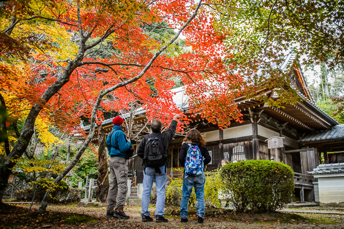 Shojiji Temple (Hanadera) (勝持寺 / 花の寺) -- Kyoto, Japan -- Copyright 2014 Jeffrey Friedl, http://regex.info/blog/ -- This photo is licensed to the public under the Creative Commons Attribution-NonCommercial 4.0 International License http://creativecommons.org/licenses/by-nc/4.0/ (non-commercial use is freely allowed if proper attribution is given, including a link back to this page on http://regex.info/ when used online)