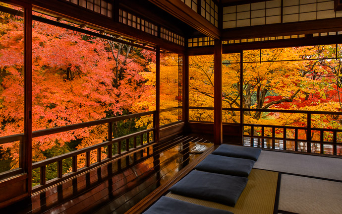 desktop background image of gorgeous fall colors at the Rurikoin Temple (瑠璃光院), Kyoto Japan -- Serenity Incarnate and other lies -- Rurikoin Temple (瑠璃光院) -- Copyright 2014 Jeffrey Friedl, http://regex.info/blog/ -- This photo is licensed to the public under the Creative Commons Attribution-NonCommercial 4.0 International License http://creativecommons.org/licenses/by-nc/4.0/ (non-commercial use is freely allowed if proper attribution is given, including a link back to this page on http://regex.info/ when used online)