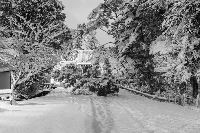 Fallen Tree at the Nanzen Temple 南禅寺の落ちた木、午前３時半 -- Nanzen Temple (南禅寺) -- Kyoto, Japan -- Copyright 2015 Jeffrey Friedl, http://regex.info/blog/